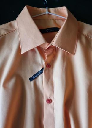 Нова брендова базова топова абрикосова чоловіча бавовняна сорочка шведка теніска l л venti