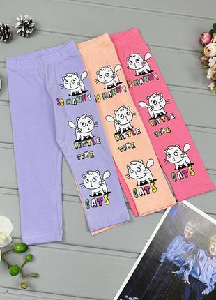 🌸лосины котик.