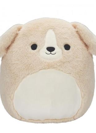 М'яка іграшка squishmallows – лабрадор стеван (30 cm) sqcr00342