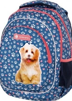 Шкільний рюкзак ab330 "cute puppy", astrabag (502022140)