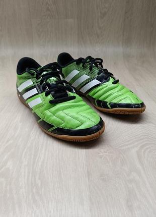 Футзальные кеды adidas