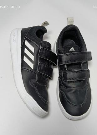 Кросівки adidas