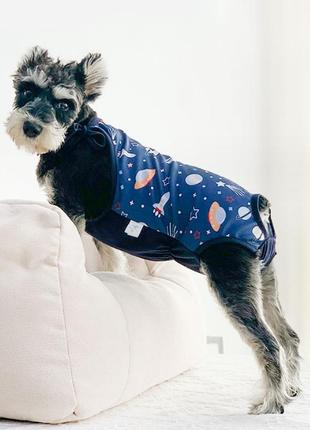 Труси - боді гігієнічні для собак синій із принтом планети для середніх порід s