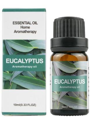 Ароматическое масло евкалипт 10 мл , арома масло для ароматерапии, релаксации, медитации