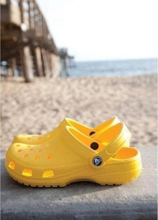 Крокс класік клог жовті crocs classic clog yellow