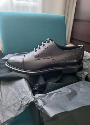 Туфлі (брогі) dolce &amp;gabbana