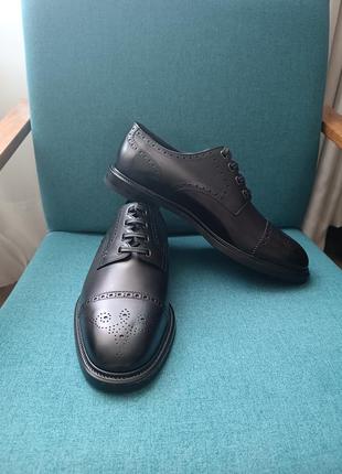 Туфлі (брогі) dolce &amp;gabbana
