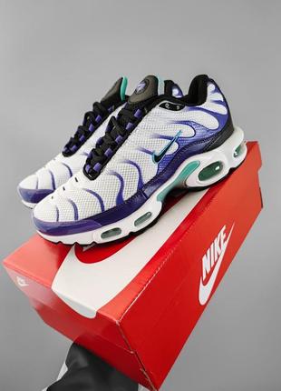 Кроссовки nike air max tn plus