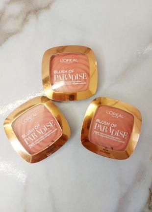 Рум'яна l'oreal paris skin paradise blush of 03