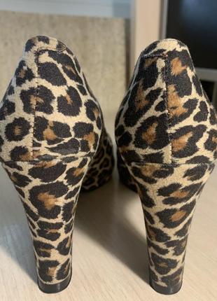 Шикарні леопардові туфлі la belle2 фото