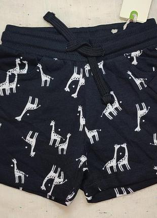 Шорти