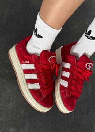 Кросівки adidas campus  red / white premium