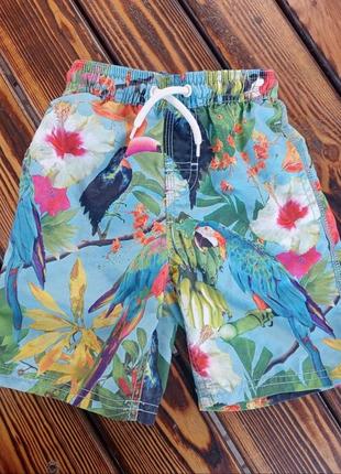 Шорти