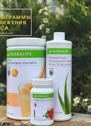 Програма зниження ваги,  ваша струнка фігура без дієт і голодань, herbalife,  гербалайф