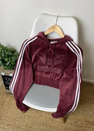 Вкорочене велюрова худі adidas