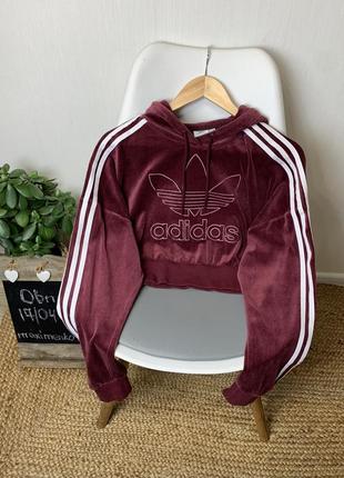 Вкорочене велюрова худі adidas3 фото