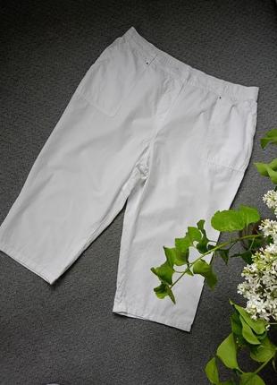 Белые новые бриджи шорты каприз большой размер