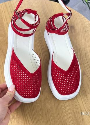 Натуральна замша, шикарні червоні жіночі туфлі erika