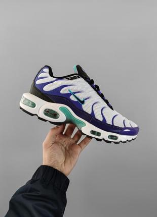 Nike air max plus grape