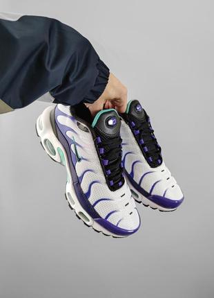 Nike air max plus grape