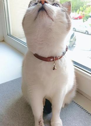 Тонкий белый ошейник со звоночком для кошки2 фото