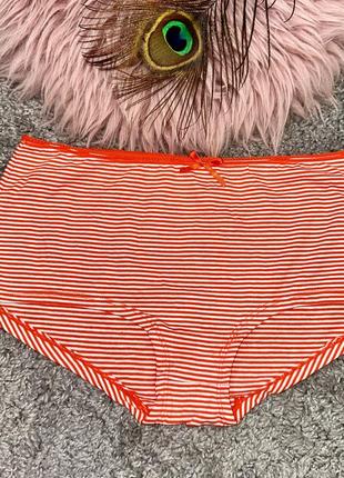 Бавовняні трусики-сліпи, у яскраву смужку bodywear, р.l