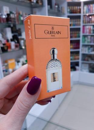 Aqua allegoria mandarine basilic guerlain | свіжий аромат!