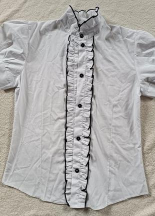 Низкая цена! блузка. новая. рубашка. рубашка кофта. блуза. 158 см.