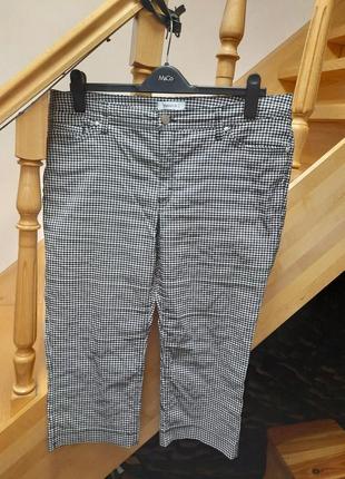 Штани бріджі