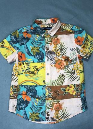 Літня гавайська сорочка від next, для хлопчиків 2-3 років, знижка3 фото