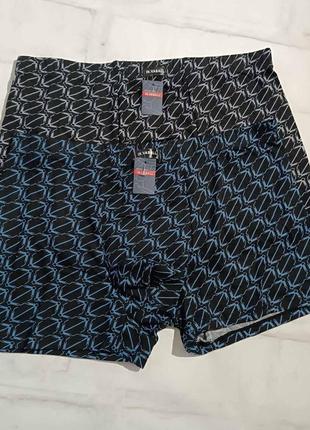 Боксери чоловічі великого розміру in.vasall