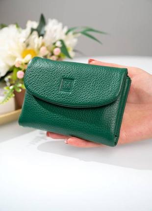 Зеленый кошелек