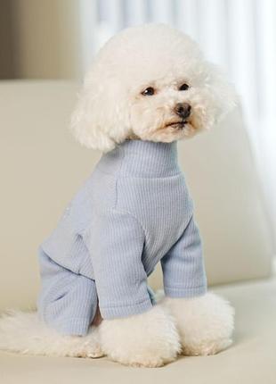 Трикотажный костюм для собак cheepet infinite love c сердечками на спинке, без резинок вокруг лапок, голубой4 фото