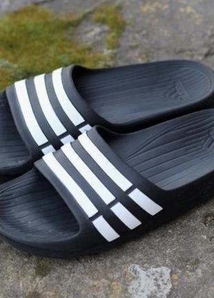 Шльпанці adidas