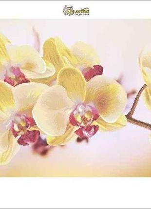 Схема для вышивки бисером  орхидея ,тм золотая подкова  зпк-016