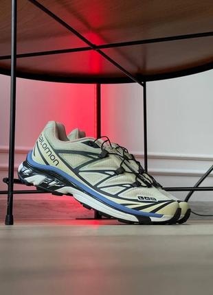 Кросівки salomon xt-6 mindful 2 beige