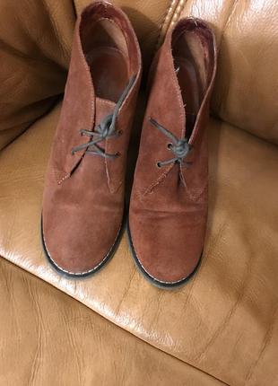 Черевики із замші брендові