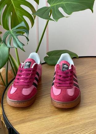 Кроссовки gucci x adidas gazelle pink 2