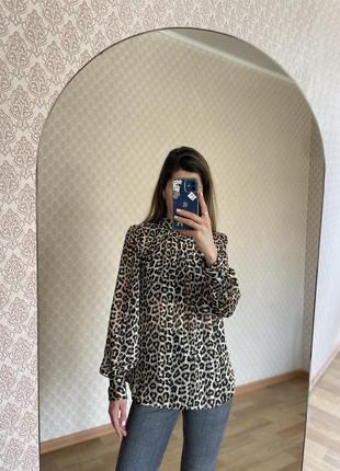 Леопардова блуза h&m4 фото