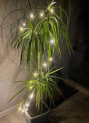 Гирлянда cветодиодная роса гирлянда роса 2 метра от батареек батарейки в комплекте