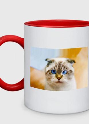 Чашка с принтом двухцветная «кошка породы шотландская вислоухая косоглазая» (цвет чашки на выбор)