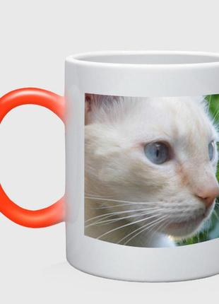 Чашка с принтом хамелеон «мордочка белого кота» (цвет чашки на выбор)