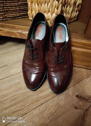 Шкіряні черевики 5