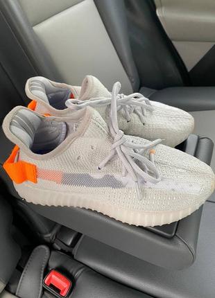 Кросівки жіночі сірі nike yeezy boost 350