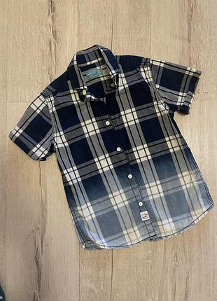 Літня сорочка теніска  next 116 см