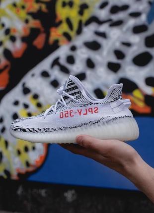 Adidas yeezy 350 v2 zebra мужские кроссовки топ качества.6 фото