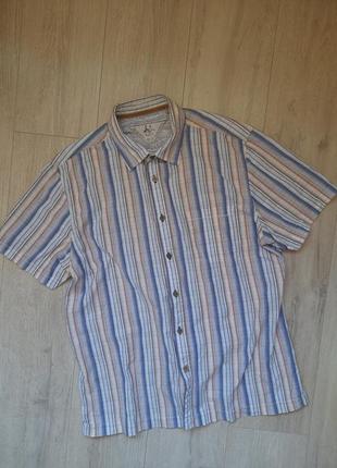 Mantaray сорочка рубашка жовтоблакитна  в смужку чоловіча мужская шведка літо