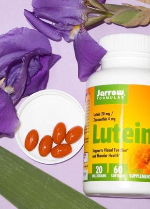 Вітаміни для поліпшення та відновлення зору jarrowformulas lutein 20 мг3 фото