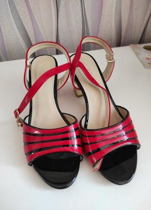 Босоножки женские, босоножки летние женские, босоножки, обувь женская