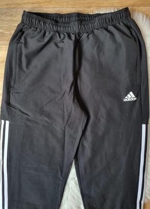 Спортивные штаны adidas, nike, reeboke, kappa, jordan (s)4 фото